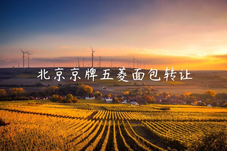 北京京牌五菱面包转让