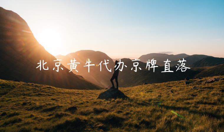 北京黄牛代办京牌直落