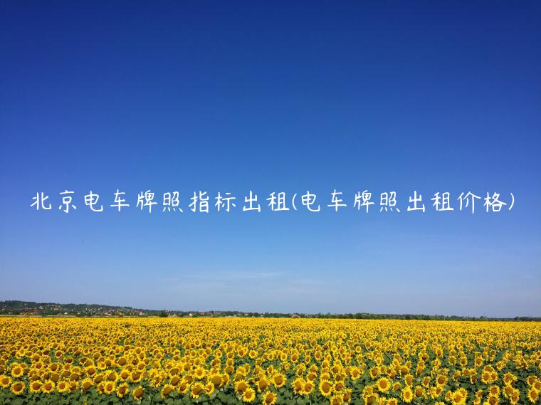 北京电车牌照指标出租(电车牌照出租价格)