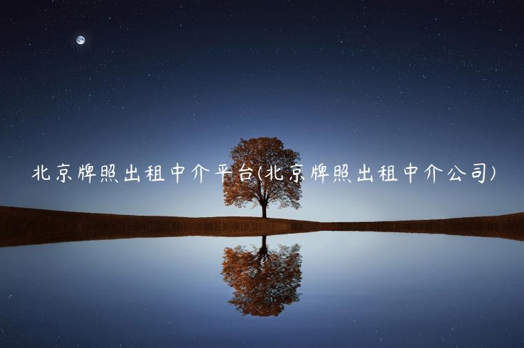 北京牌照出租中介平台(北京牌照出租中介公司)