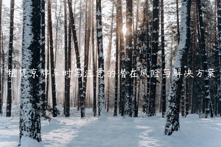 租赁京牌车时需注意的潜在风险与解决方案
