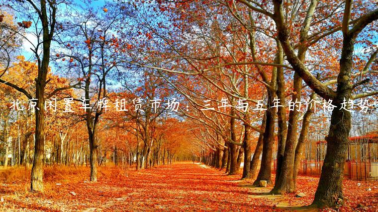 北京闲置车牌租赁市场：三年与五年的价格趋势