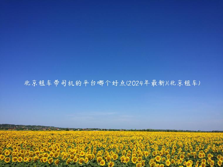 北京租车带司机的平台哪个好点(2024年最新)(北京租车)