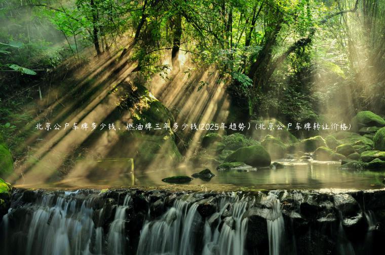 北京公户车牌多少钱、燃油牌三年多少钱(2025年趋势）(北京公户车牌转让价格)