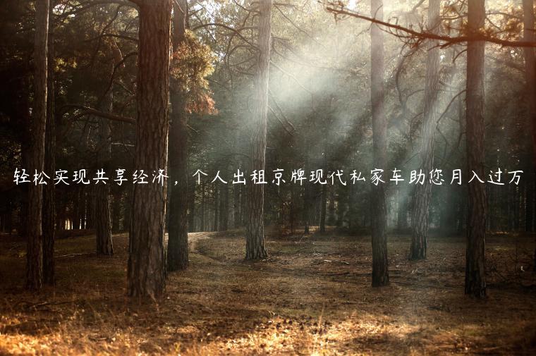轻松实现共享经济，个人出租京牌现代私家车助您月入过万