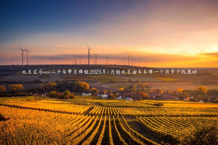 北京宝马mini二手车带京牌租,2025年1月租北京油车车牌一个月多少钱逸动