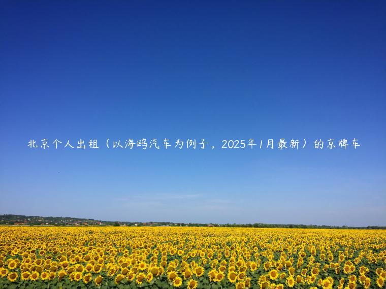 北京个人出租（以海鸥汽车为例子，2025年1月最新）的京牌车