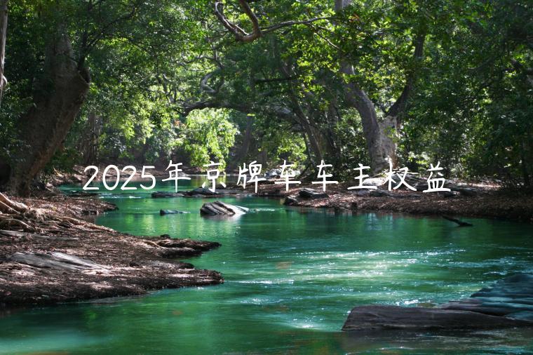 2025年京牌车车主权益